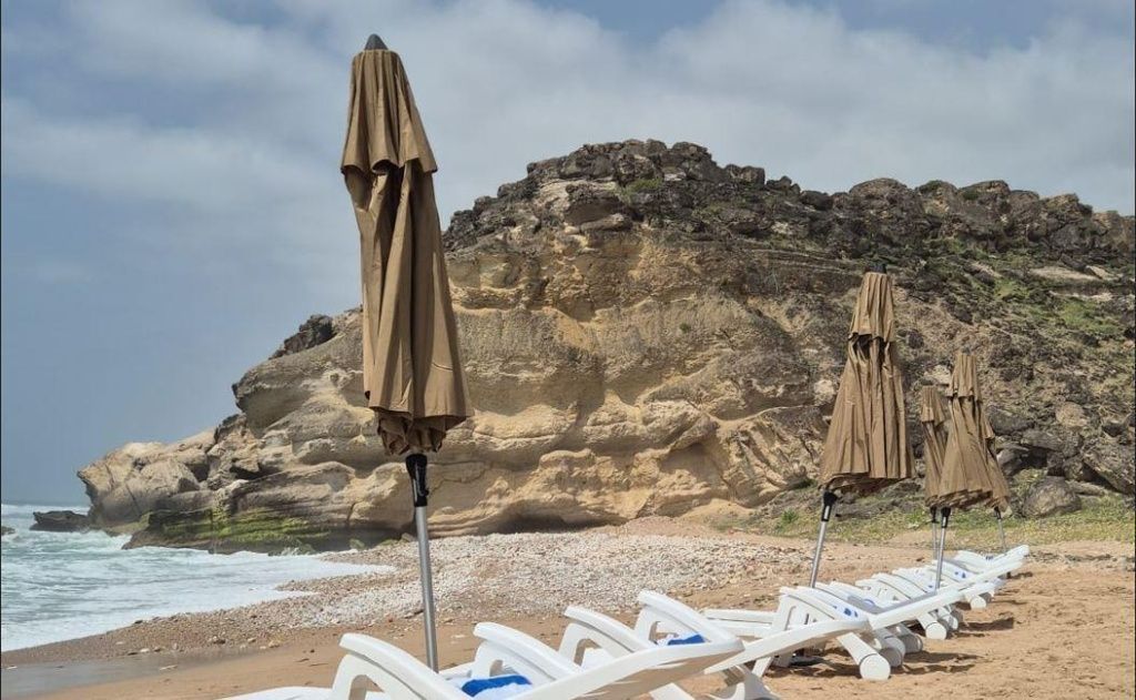 Arabian_4_beach_1.jpeg