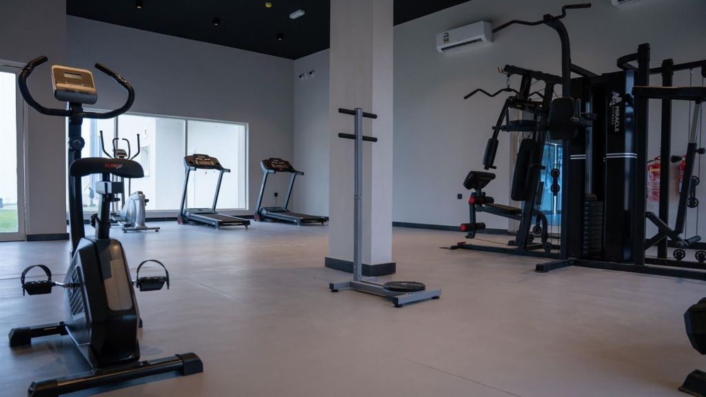 Arabian_4_gym_1.jpeg