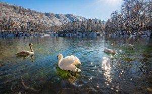 Автобусный тур в Северную Осетию на 8 дней: озёра, горные водопады и осетинские пироги - Изображение 2