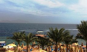 Xperience Sea Breeze Resort 5* (Шаркс Бей) - Изображение 30