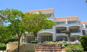 IVY CYRENE ISLAND HOTEL 4* - Изображение 23