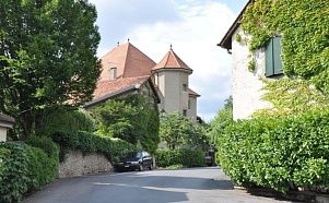 Французские Альпы и очарование Швейцарской Ривьеры (делаем визу) - Изображение 5