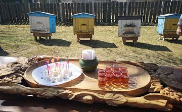 Белорусские традиции: усадьба "Мир пчёл" - Изображение 2