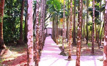 Arambol Paradise Village Resort 2* - Изображение 2