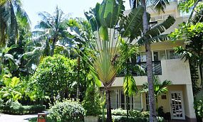PALM BEACH RESORT & SPA SANYA 4* - Изображение 4