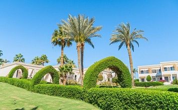 CLUB REEF 4* - коралловые рифы, уютная территория и высокий рейтинг