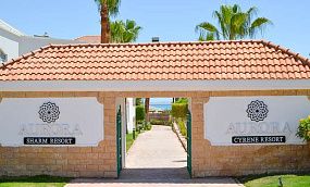 IVY CYRENE ISLAND HOTEL 4* - Изображение 25