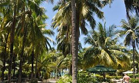 PALM BEACH RESORT & SPA SANYA 4* - Изображение 7