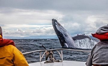 Тур «Красоты Кольского полуострова, погоня за китами на краю земли в Териберке» - Изображение 4