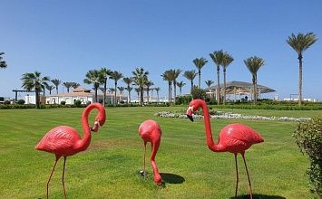 GHAZALA ALAMEIN 5* - тур в Эль-Аламейн на 10/11 ночей из Минска