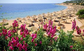 Domina Coral Bay Elisir 5* (Корал Бей) - Изображение 11