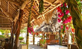 La Madrugada Beach Hotel 3* - Изображение 17