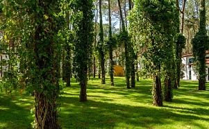 Baia Salima Kemer 5* - сосновый парк, первая линия, уютные номера - Изображение 5