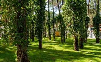 Baia Salima Kemer 5* - сосновый парк, первая линия, уютные номера