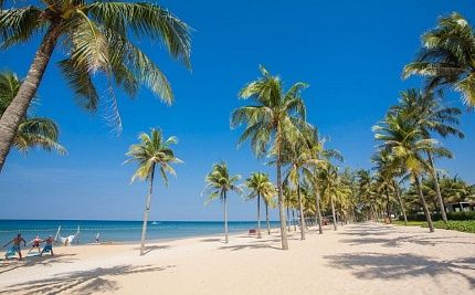 Фруктовое изобилие Вьетнама: гид для туриста - Изображение 3