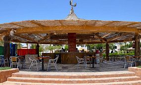 IVY CYRENE ISLAND HOTEL 4* - Изображение 31