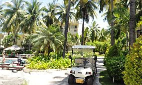 PALM BEACH RESORT & SPA SANYA 4* - Изображение 8