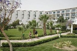 SHAMS SAFAGA