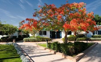 GHAZALA BEACH 4* - отель в Наама бей на 1 линии с песчаным пляжем