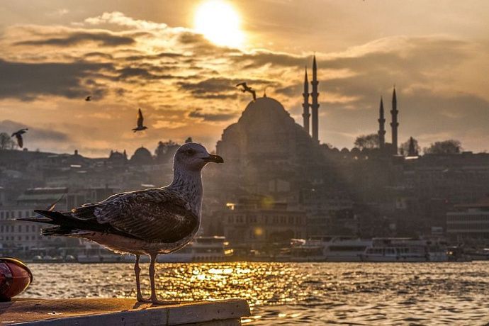 Популярные фразы на турецком языке для туристов, читайте и учите!
